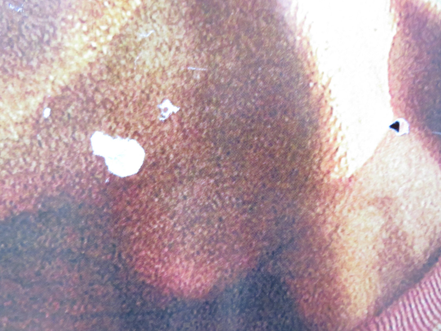 THE CONSTANT GARDENER UK QUAD (30"x 40") ROLLED POSTER RALPH FIENNES 2005 Rendezvous Cinema Movie posters