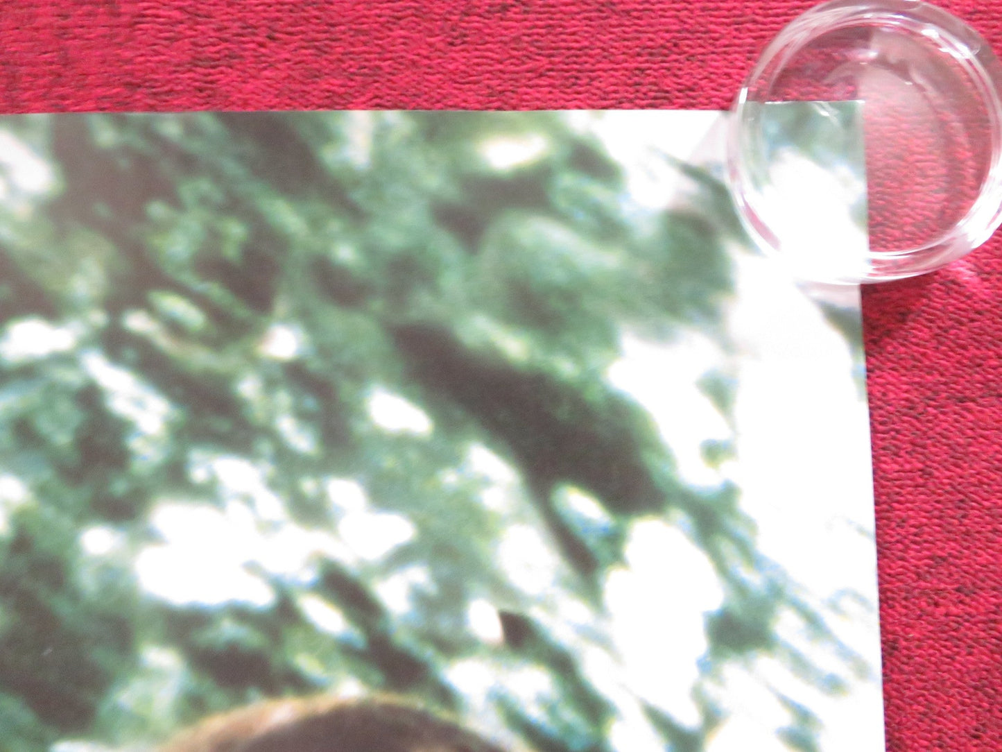 THE DIVING BELL AND THE BUTTERFLY UK QUAD (30"x 40") ROLLED POSTER AMALRIC 2007 Rendezvous Cinema Movie posters