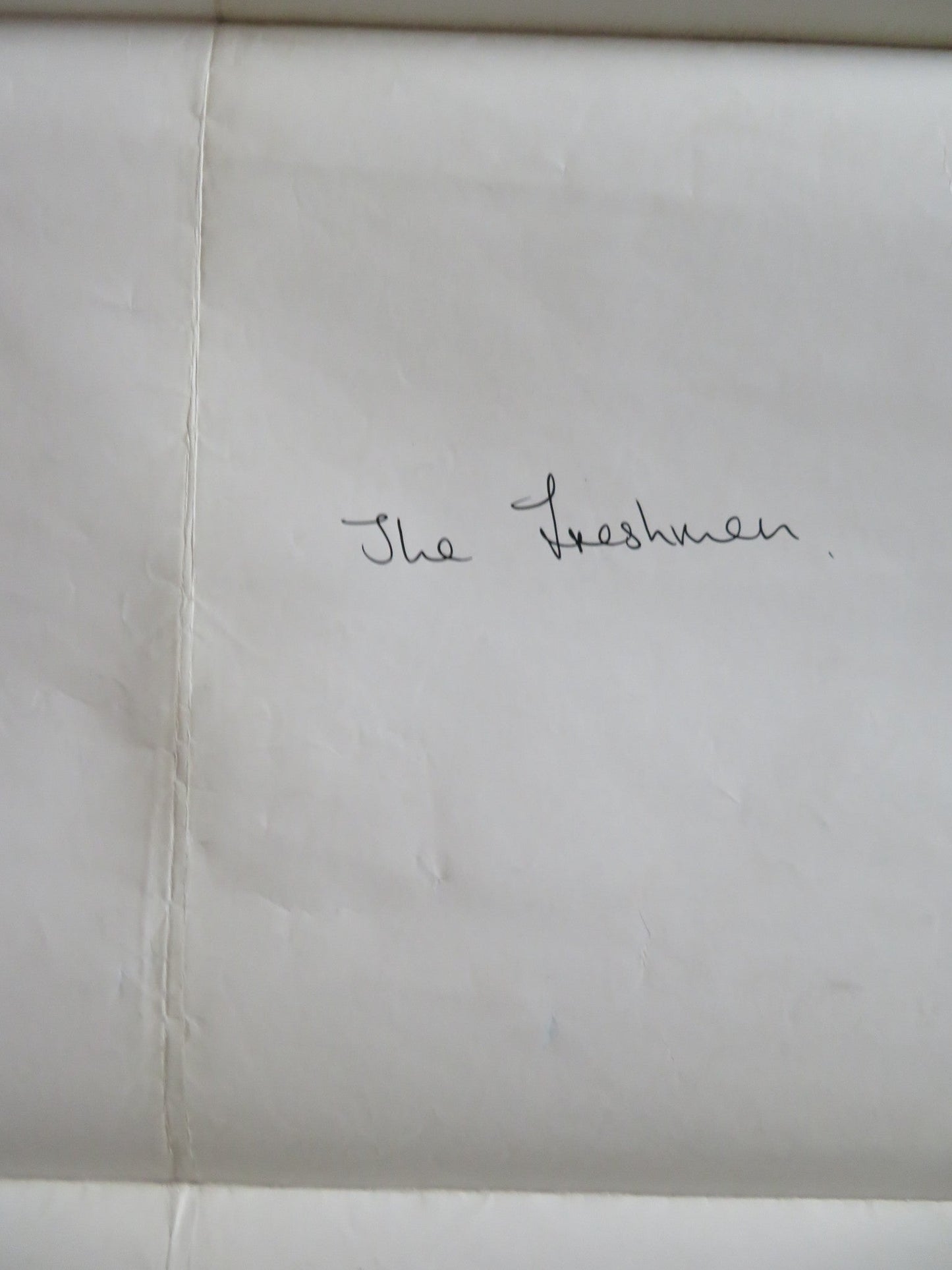 THE FRESHMAN UK QUAD ROLLED POSTER MATTHEW BRODERICK MARLON BRANDO 1990 Rendezvous Cinema Movie posters