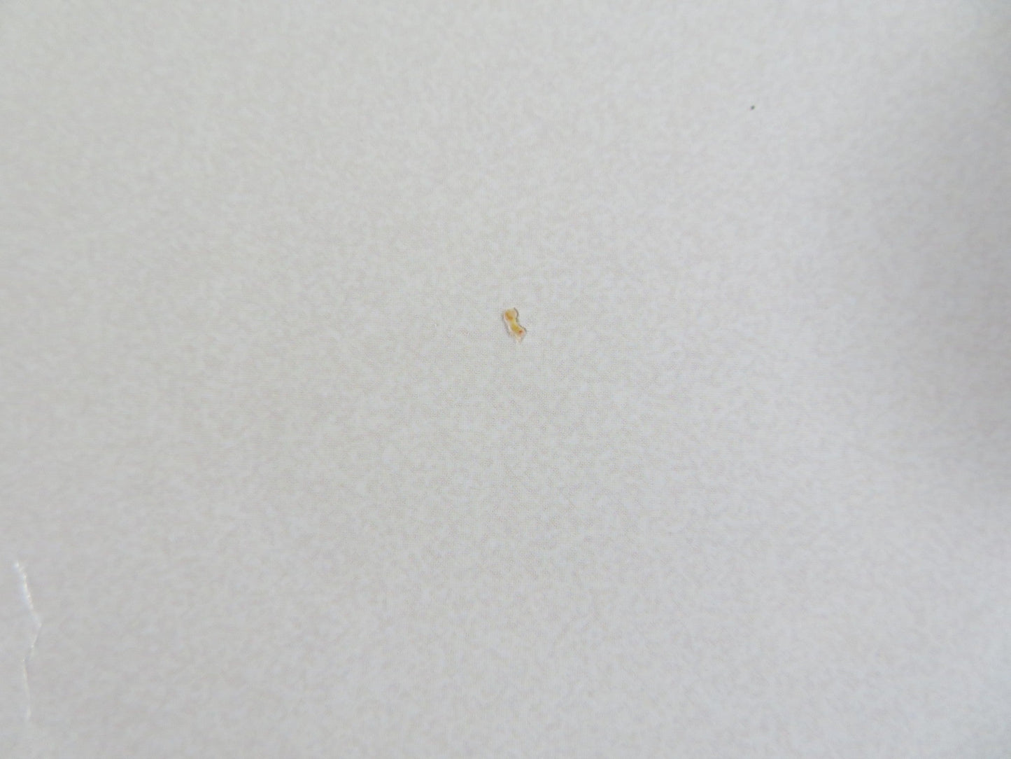 THE FRIGHTENERS FOLDED US ONE SHEET POSTER MICHAEL J.FOX TRINI ALUARADO 1996 Rendezvous Cinema Movie posters