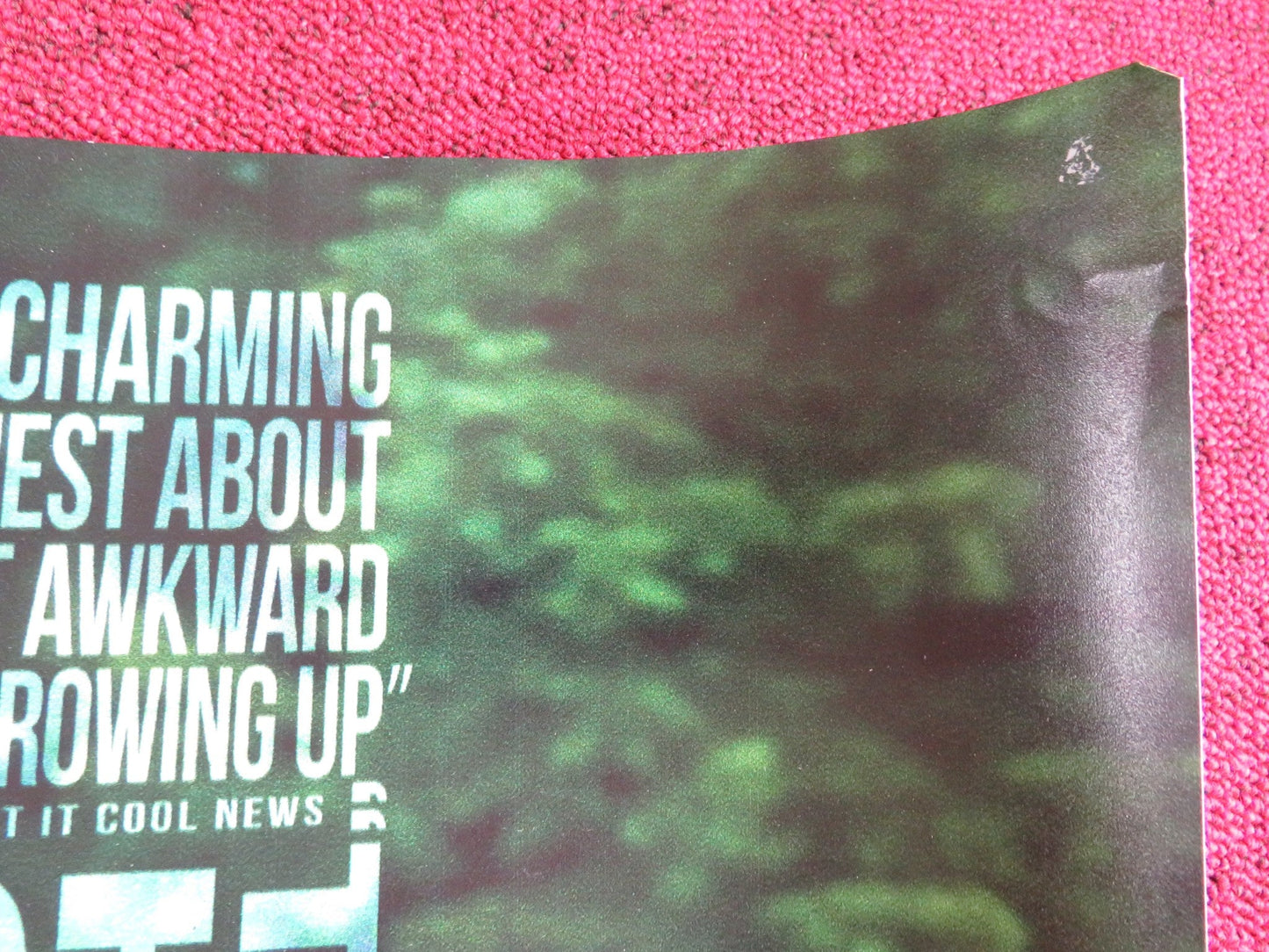 THE KINGS OF SUMMER UK QUAD (30"x 40") ROLLED POSTER NICK ROBINSON G. BASSO 2013 Rendezvous Cinema Movie posters