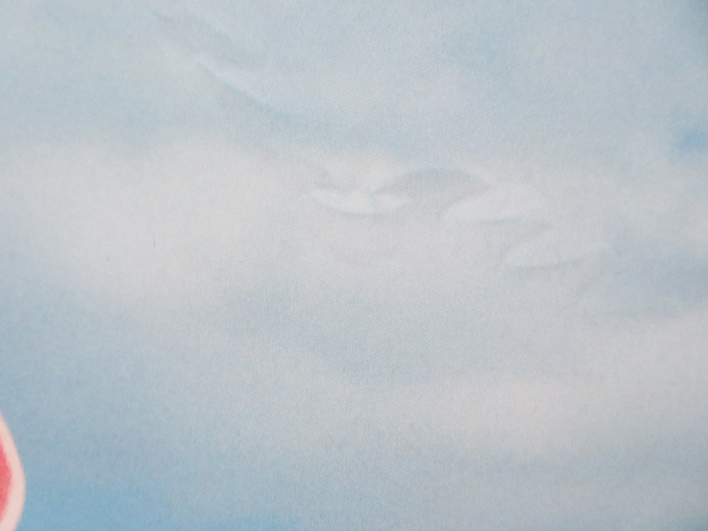 THE NUT JOB 2: NUTTY BY NATURE UK QUAD (30"x 40") ROLLED POSTER WILL ARNETT 2017 Rendezvous Cinema Movie posters