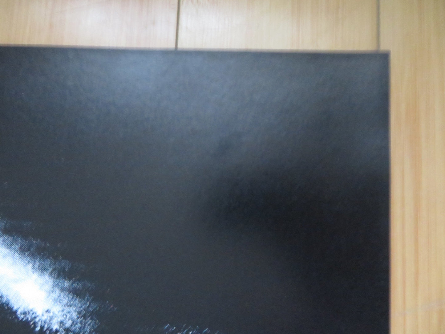 THE RING TWO FRENCH DOOR PANEL POSTER NAOMI WATTS SIMON BAKER 2005 Rendezvous Cinema Movie posters