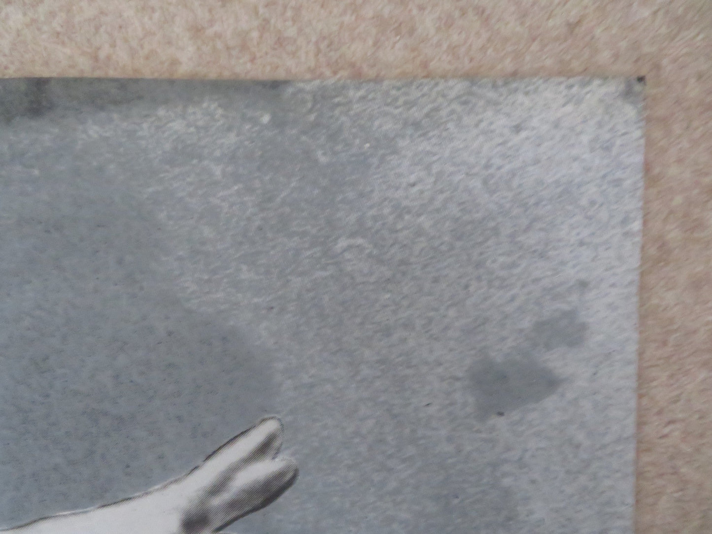 THE RULING CLASS FRENCH GRANDE POSTER PETER O'TOOLE HUGH OWENS 1972 Rendezvous Cinema Movie posters