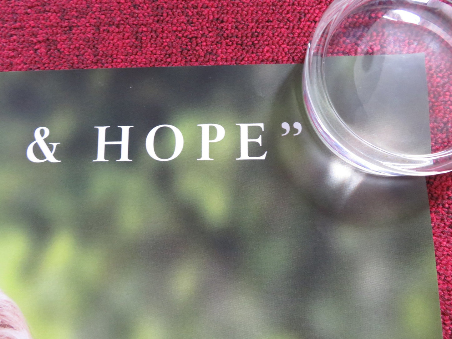 THE SEAGULL UK QUAD (30"x 40") ROLLED POSTER ANNETTE BENING SAOIRSE RONAN 2018 Rendezvous Cinema Movie posters