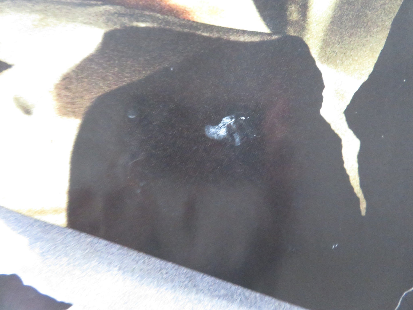 THE SECRET IN THEIR EYES UK QUAD ROLLED POSTER SOLEDAD VILLAMIL DARIN 2009 Rendezvous Cinema Movie posters