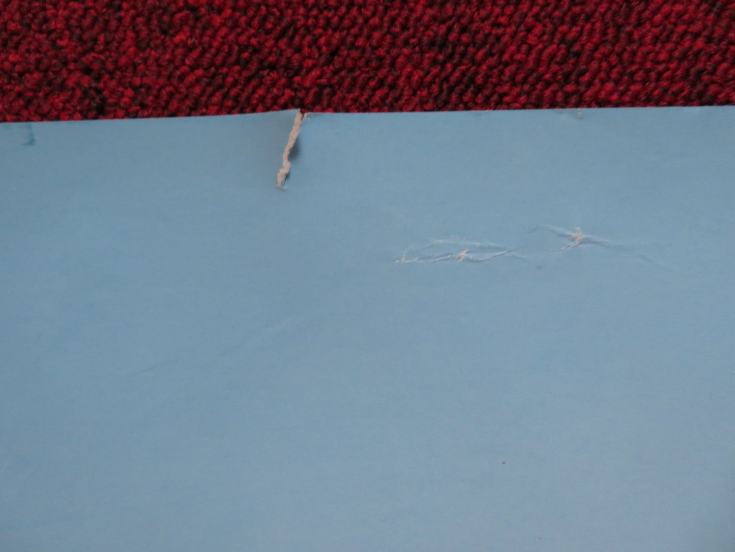 THE SHAGGY DOG UK QUAD (30"x 40") ROLLED POSTER DISNEY TIM ALLEN 2006 Rendezvous Cinema Movie posters