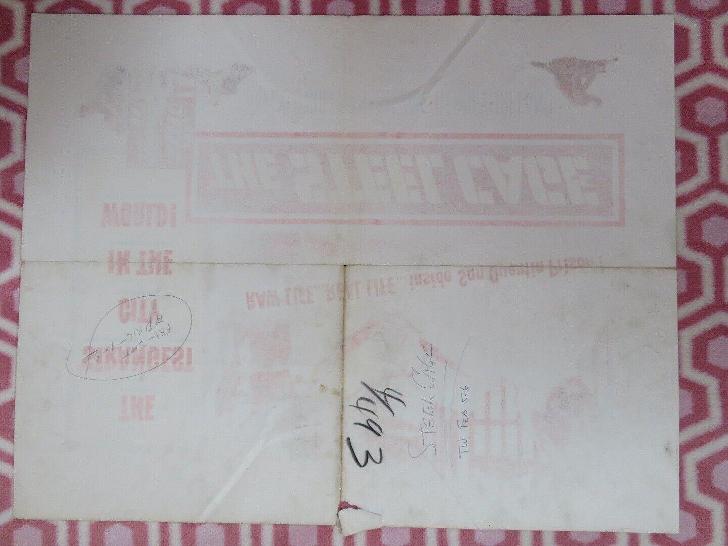 THE STEEL CAGE US HALF SHEET (22"x 28") POSTER PAUL KELLY M O'SULLIVAN 1954 Movie posters