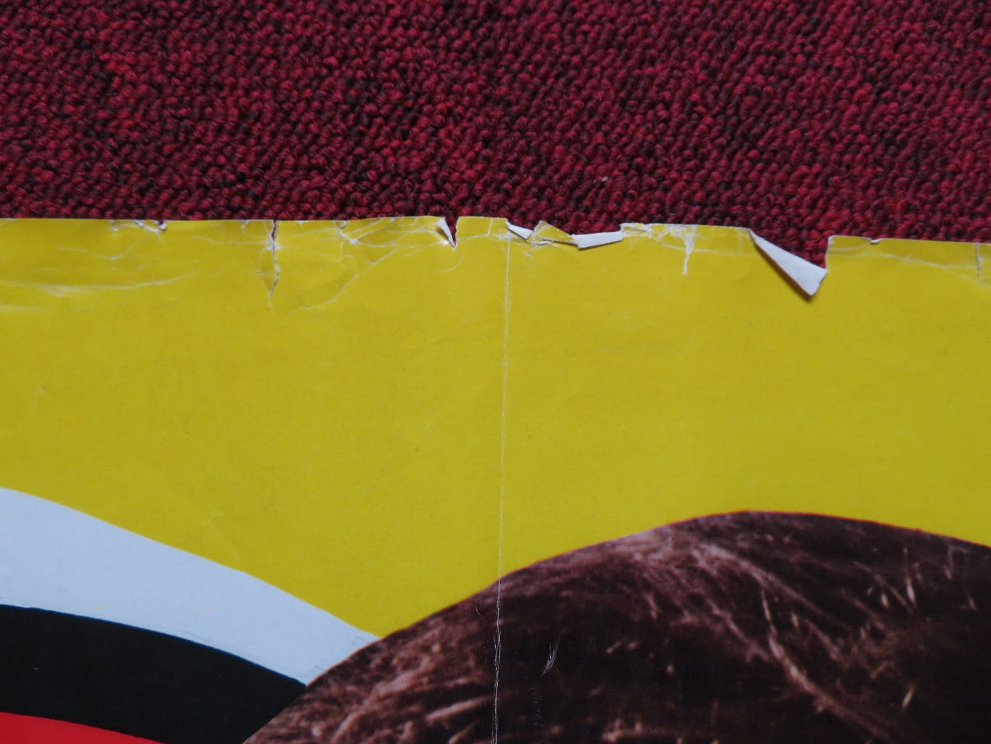 THE TERMINAL MAN ITALIAN FOGLIO POSTER GEORGE SEGAL JOAN HACKETT 1974 Rendezvous Cinema Movie posters