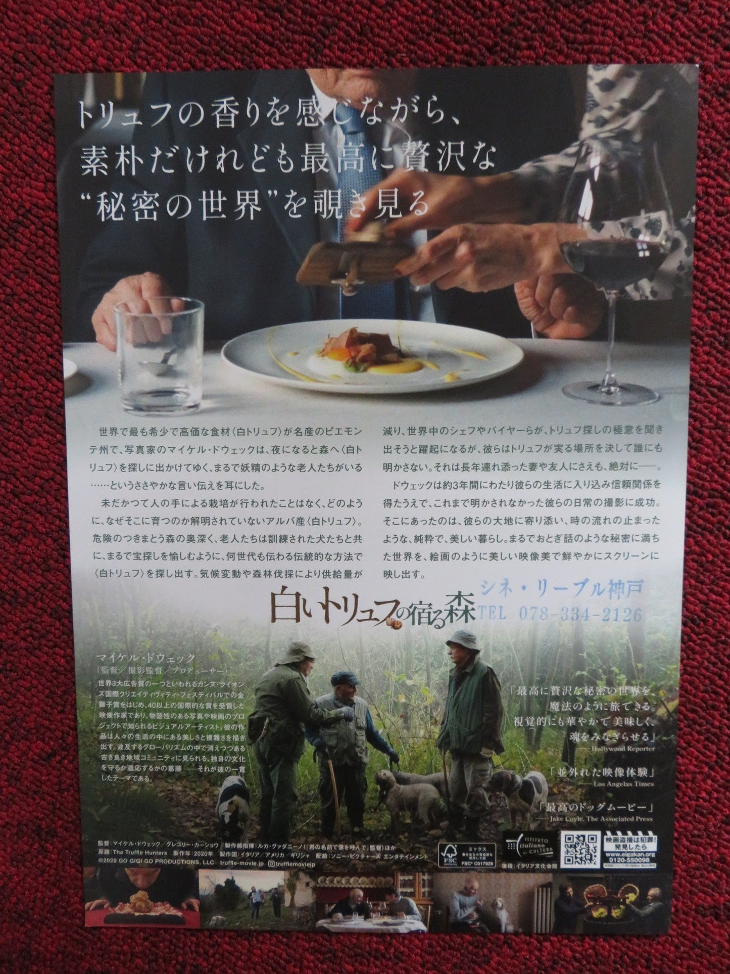 THE TRUFFLE HUNTERS JAPANESE CHIRASHI (B5) POSTER PIERO BOTTO 2020 Rendezvous Cinema Movie posters