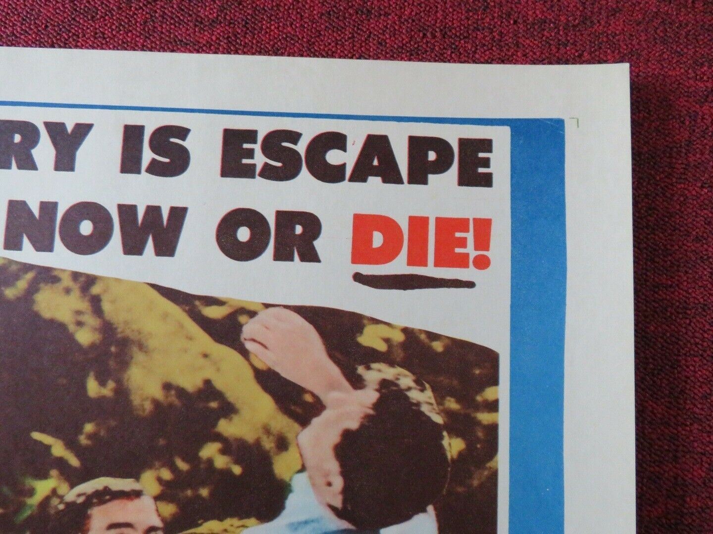 THE VIOLENT AND THE DAMMED US HALF SHEET (22"x 28") POSTER 1962 - Rendezvous Cinema