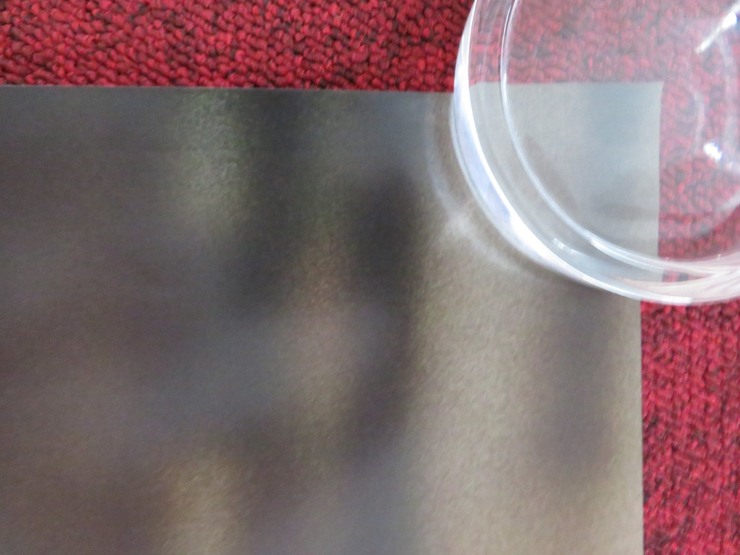 THE WHALE US ONE SHEET ROLLED POSTER BRENDAN FRASER SADIE SINK 2022 Rendezvous Cinema Movie posters