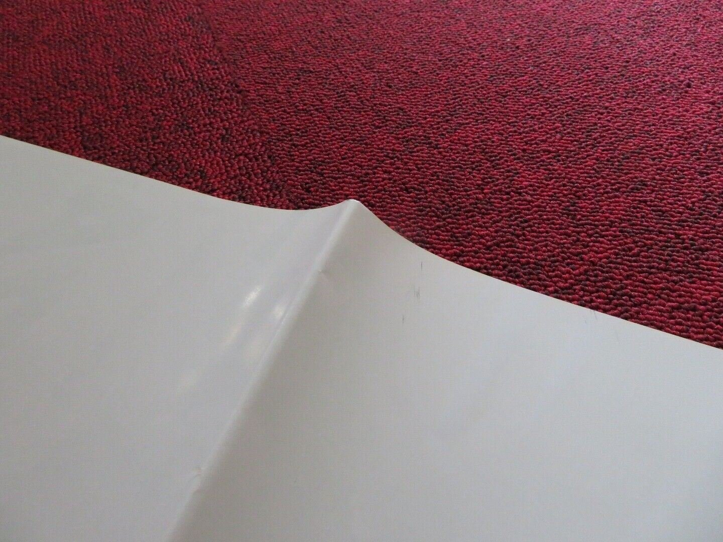 THE WHISTLERS ITALIAN LOCANDINA (26.5"x12.5") POSTER CATRINEL MARLON 2020 - Rendezvous Cinema