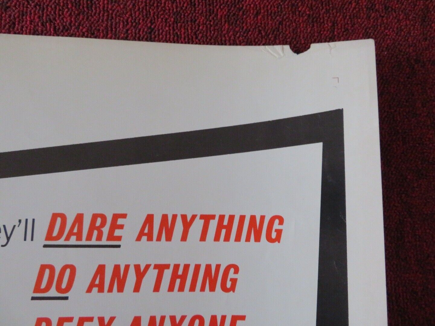 THE YOUNG ANIMALS US HALF SHEET (22"x 28") POSTER TOM NARDINI 1968 Rendezvous Cinema Movie posters