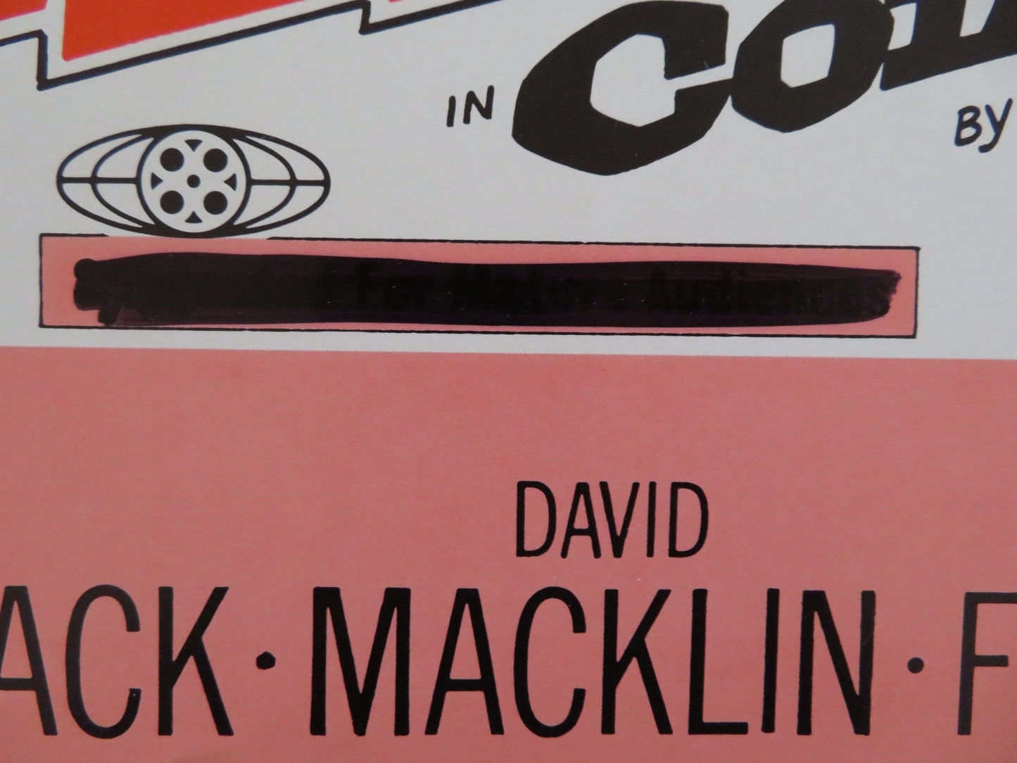 THE YOUNG ANIMALS US INSERT (14"x 36") POSTER TOM NARDINI PATTY MCCORMACK 1968 Rendezvous Cinema Movie posters