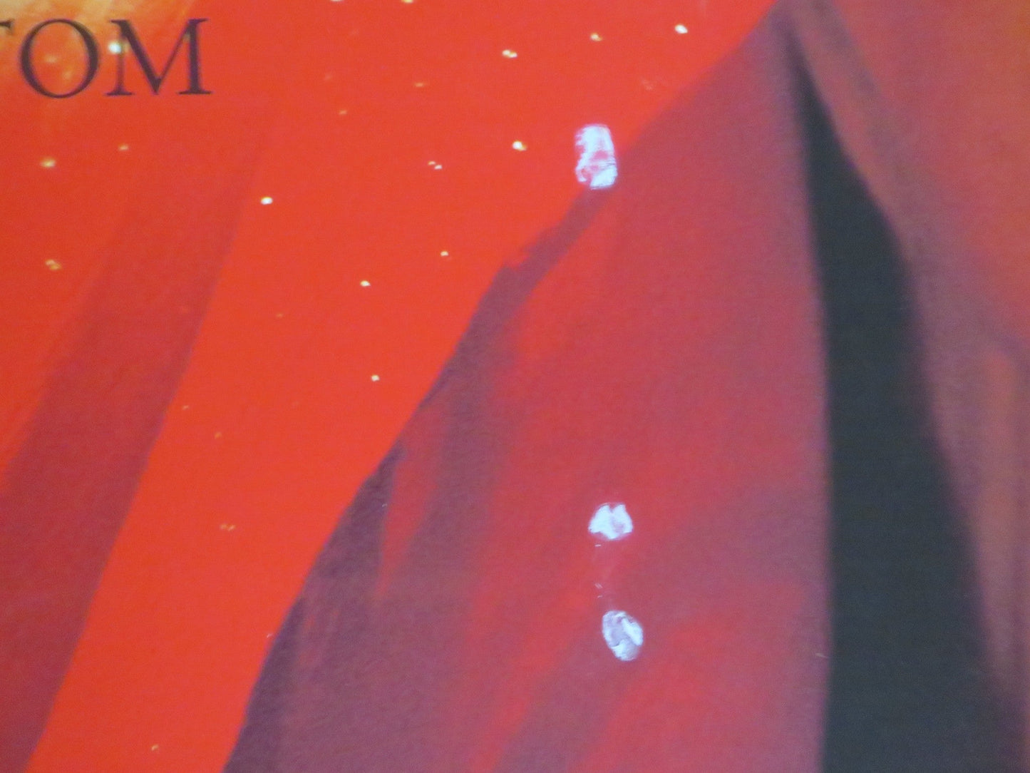 TRISHNA UK QUAD ROLLED POSTER FREIDA PINTO RIZ AHMED 2011 Rendezvous Cinema Movie posters