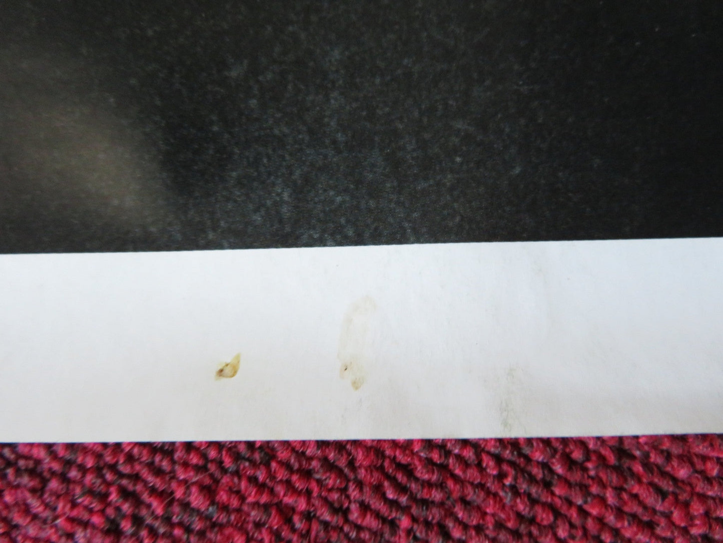 WE OWN THE NIGHT UK QUAD (30"x 40") ROLLED POSTER JOAQUIN PHOENIX 2007 Rendezvous Cinema Movie posters