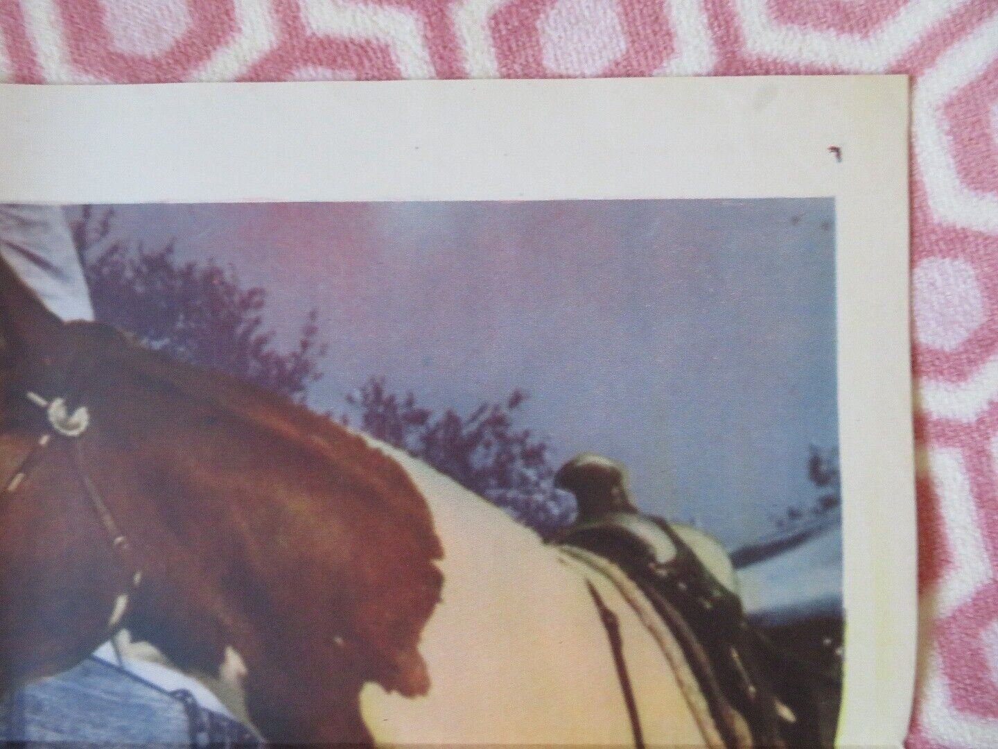 WEST OF THE ALAMO FOLDED US ONE SHEET POSTER JIMMY WAKELY 1946 Movie posters