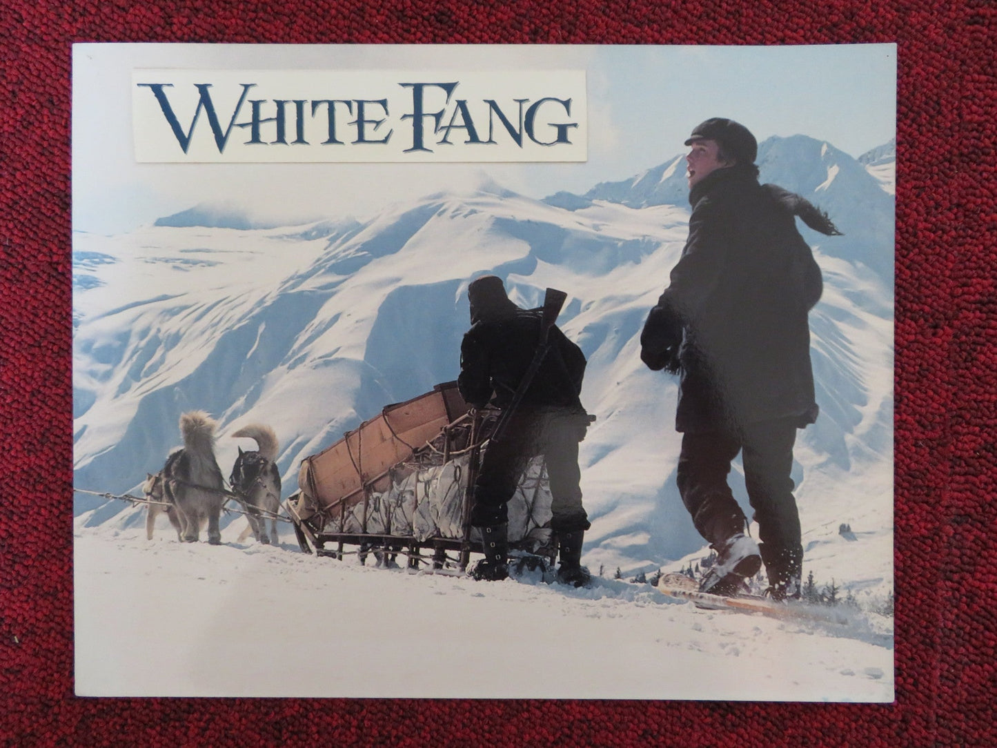 WHITE FANG - A LOBBY CARD ETHAN HAWKE KLAUS BRANDAUER 1991 Rendezvous Cinema Movie posters