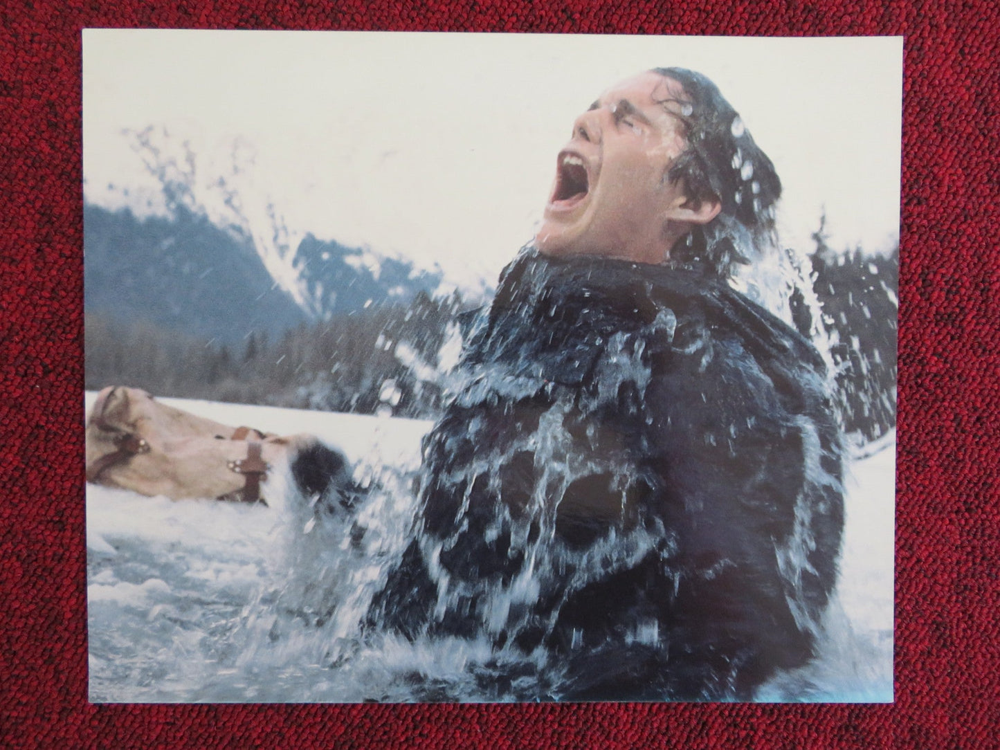 WHITE FANG - E LOBBY CARD ETHAN HAWKE KLAUS BRANDAUER 1991 Rendezvous Cinema Movie posters