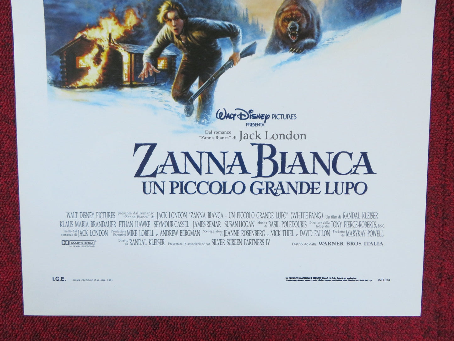 WHITE FANG ITALIAN LOCANDINA POSTER DISNEY ETHAN HAWKE 1991 Rendezvous Cinema Movie posters