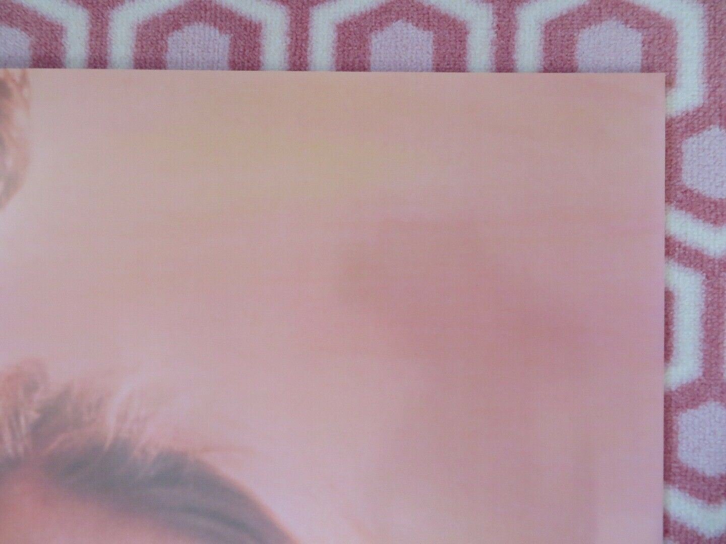 WILD HEARTS CAN'T BE BROKEN US ONE SHEET POSTER DISNEY STEVE MINER 1991 Rendezvous Cinema Movie posters