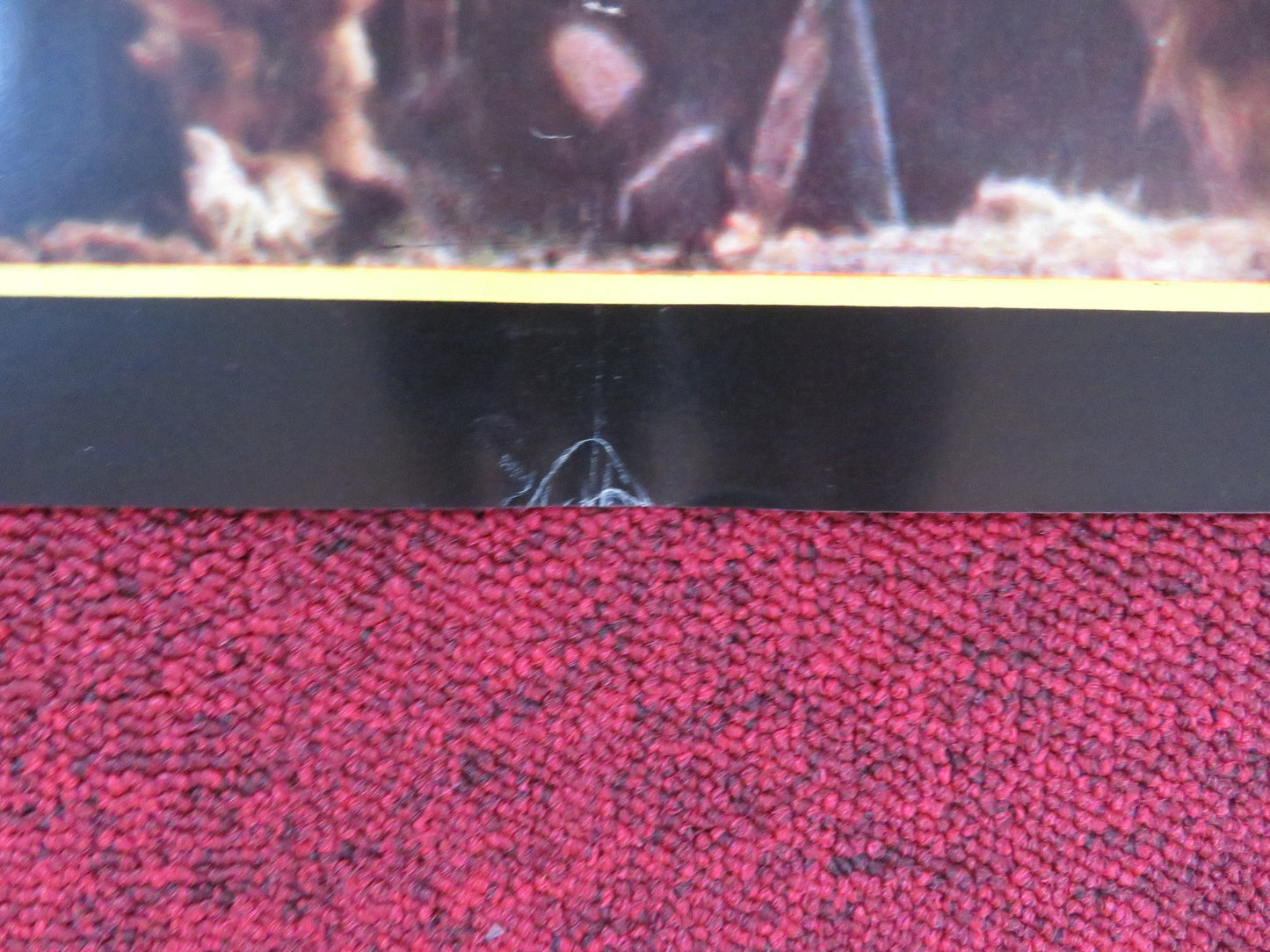 YOR: THE HUNTER FROM THE FUTURE - B ITALIAN FOTOBUSTA POSTER REB BROWN 1983 Rendezvous Cinema Movie posters