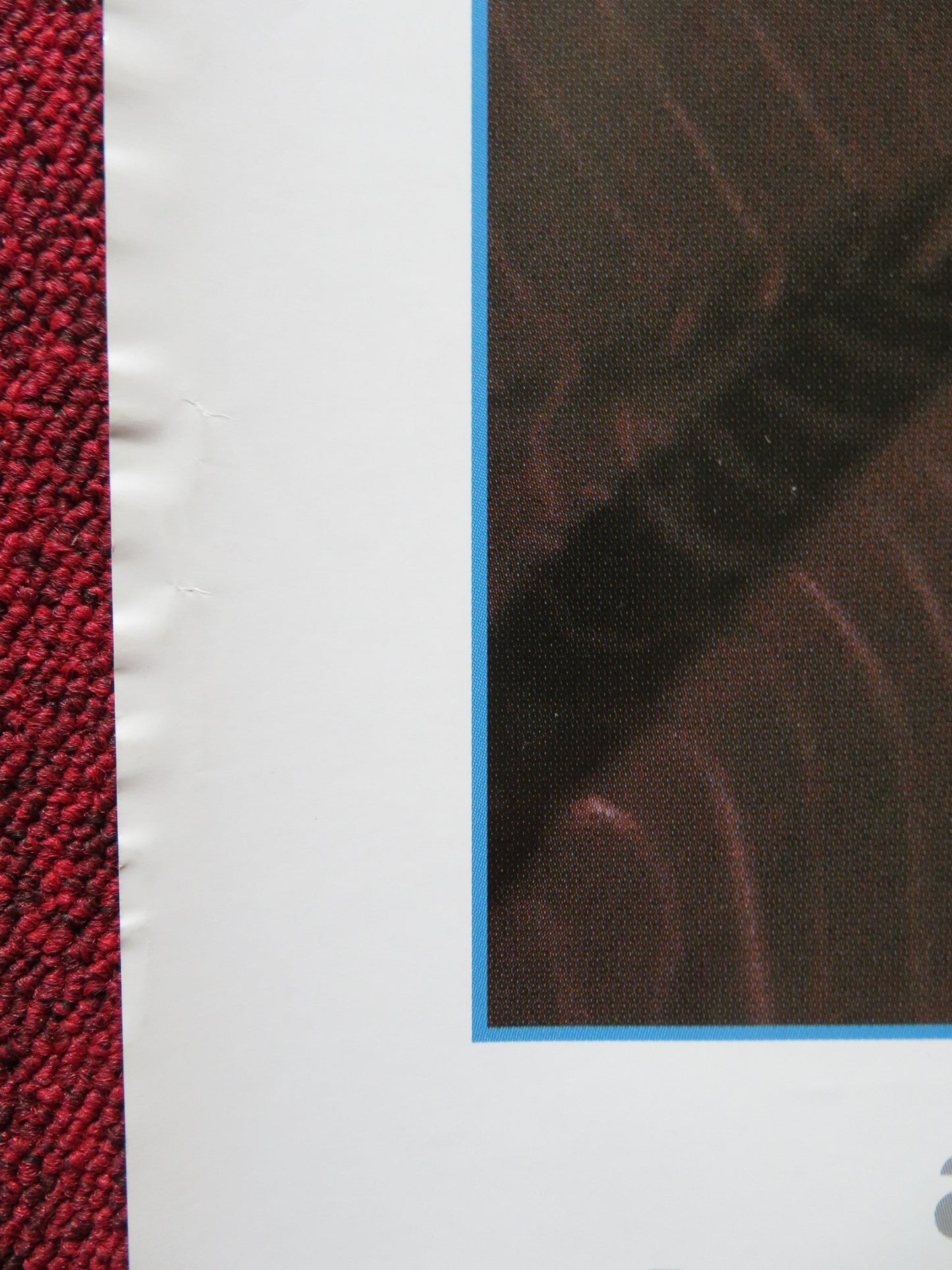 YOUR FRIENDS AND NEIGHBORS UK QUAD (30"x 40") ROLLED POSTER AMY BRENNEMAN 1998 Rendezvous Cinema Movie posters