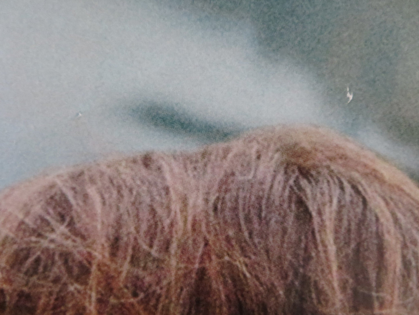 YOUR SISTER'S SISTER UK QUAD (30"x 40") ROLLED POSTER EMILY BLUNT 2011 Rendezvous Cinema Movie posters