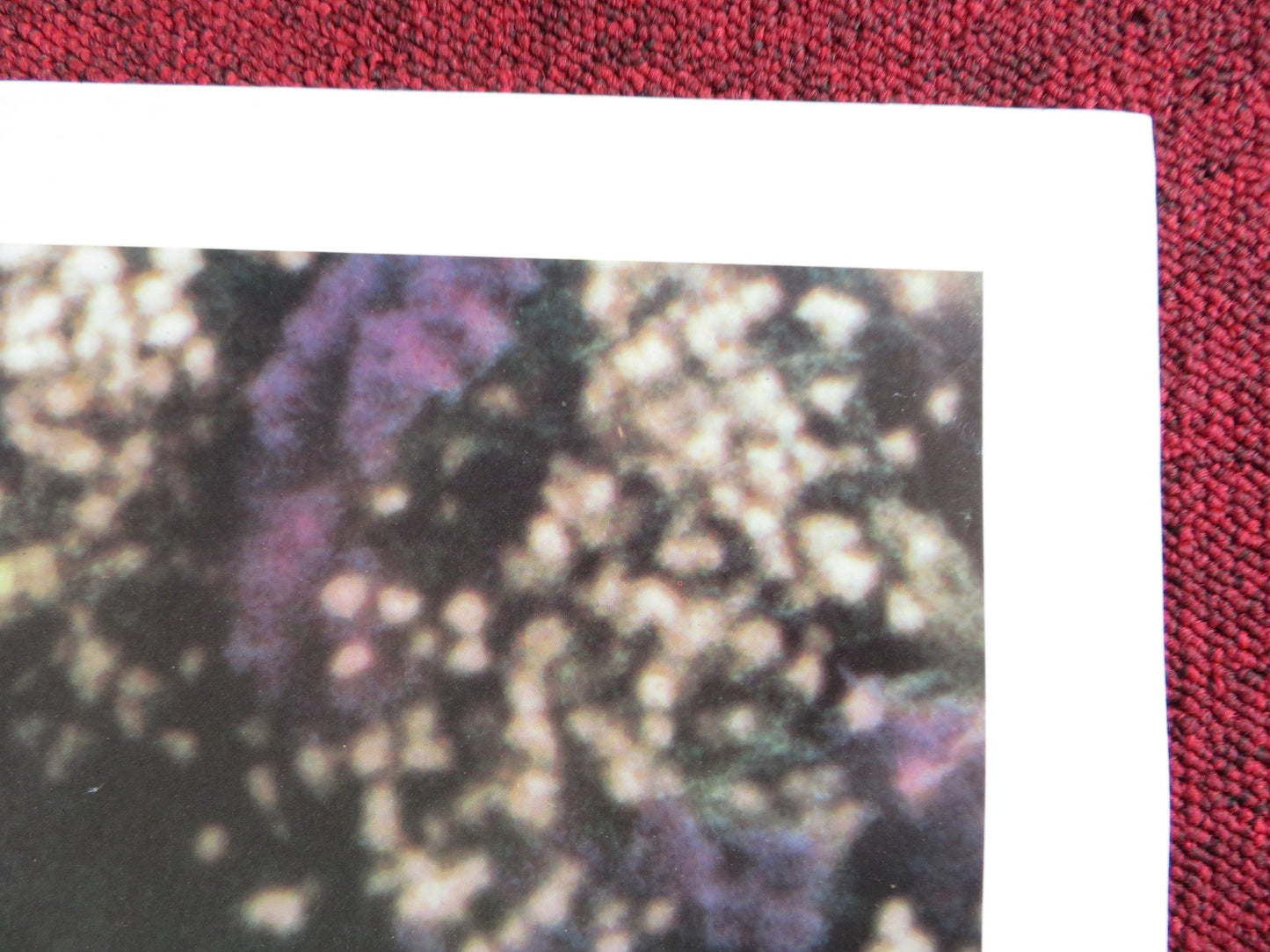 ZELLY & ME FOLDED US ONE SHEET POSTER ISABELLA ROSSELLINI DAVID LYNCH 1988 Rendezvous Cinema Movie posters