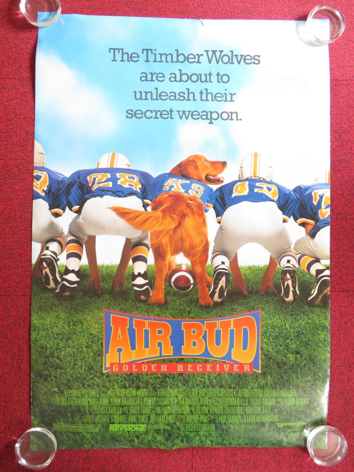 Charles Martin Smith film poster: Air Bud