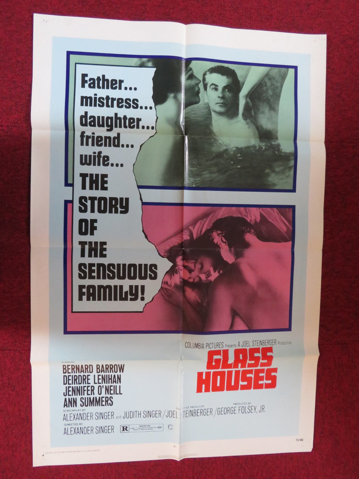 Alexander Singer film poster: Glass Houses