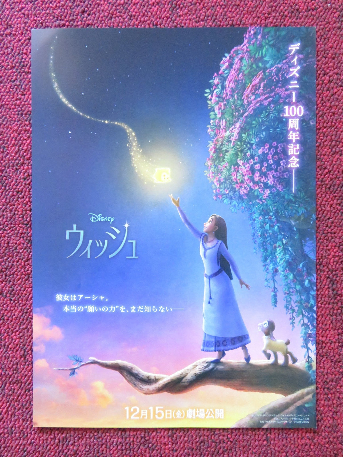 Fawn Veerasunthorn film poster: Wish