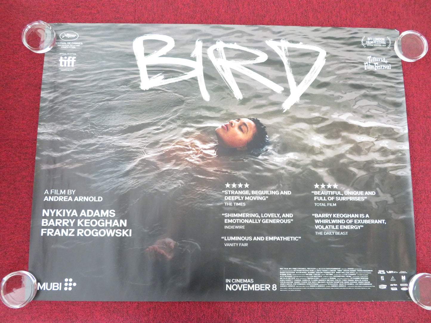 Bird UK Quad Rolled Poster Barry Keoghan Nykiya Adams Franz Rogowski 2024