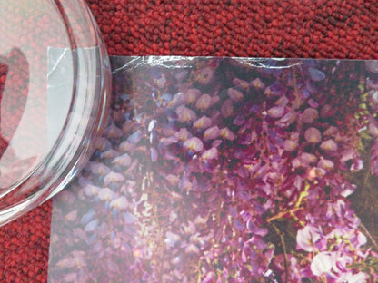 The Magic Faraway Tree - A UK Quad Rolled Poster Andrew Garfield Claire Foy 2026