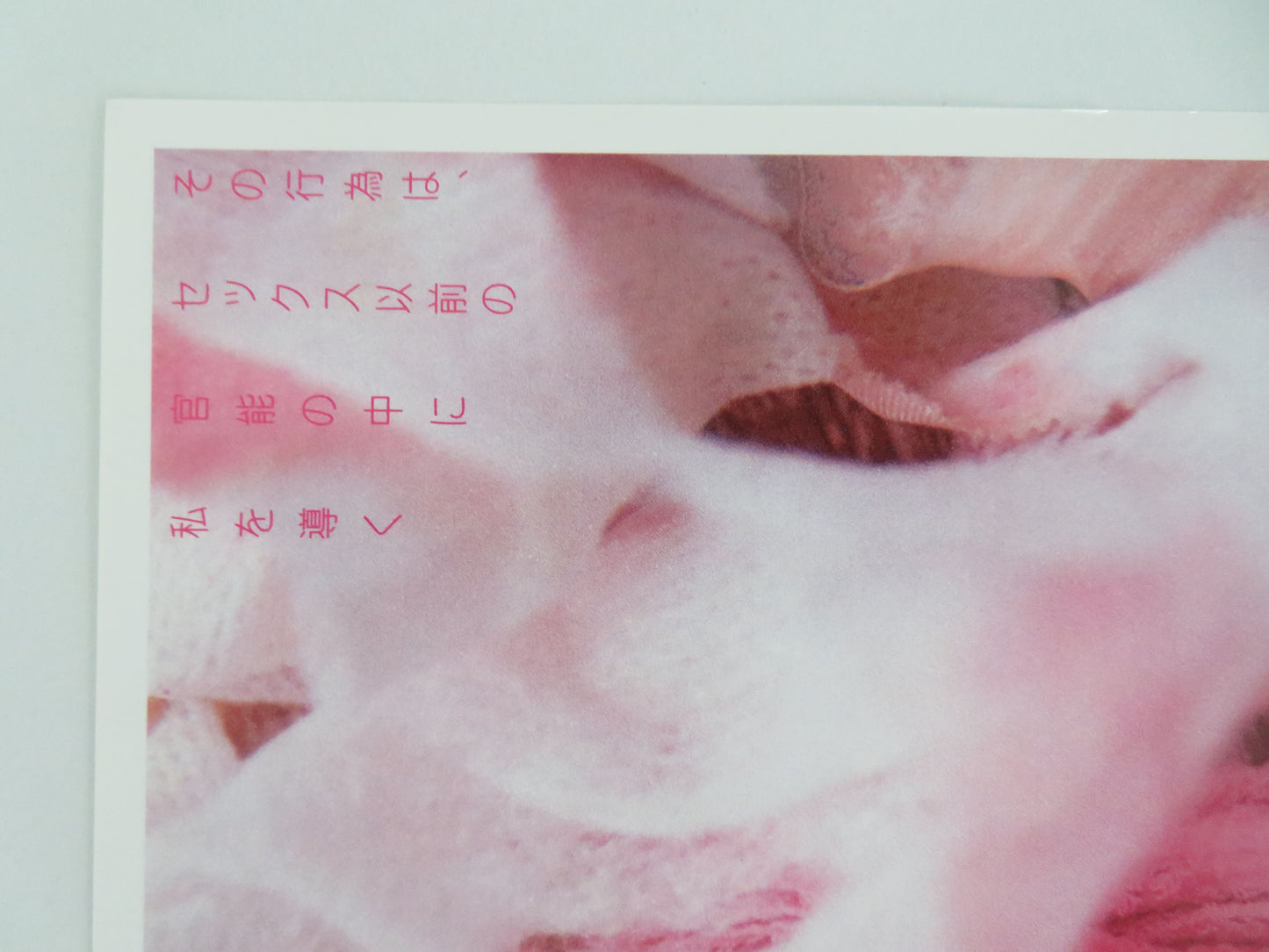 In My Skin Japanese Chirashi (B5) Poster Marina de Van Lucas 2002