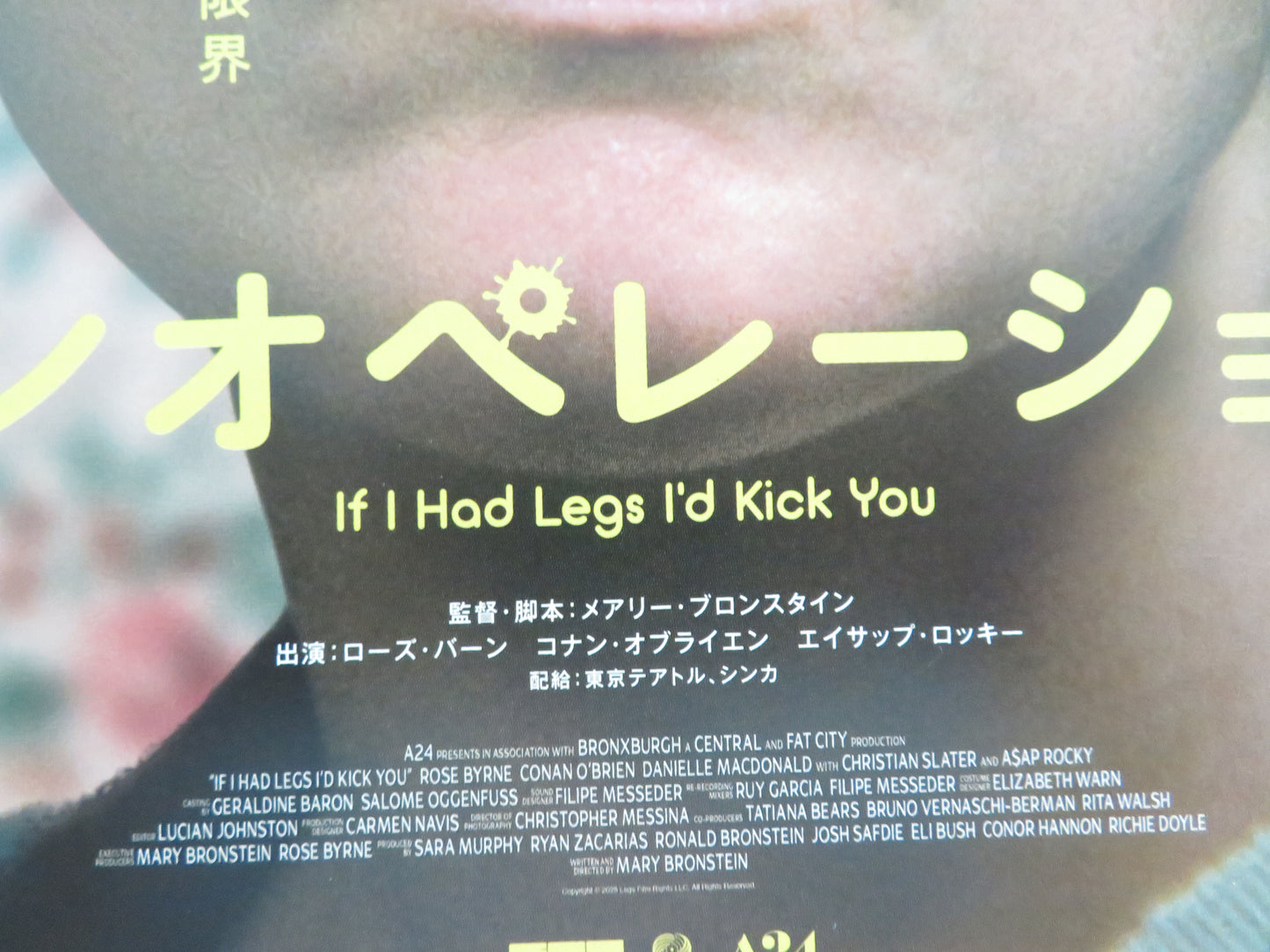 If I Had Legs I'd Kick You Japanese Chirashi (B5) Poster Rose Byrne O'Brien 2025