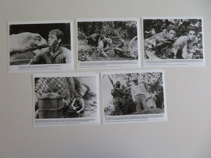 Baby: Secret of the Lost Legend -B Movie Still Photo Lot Of 5 William Katt 1985