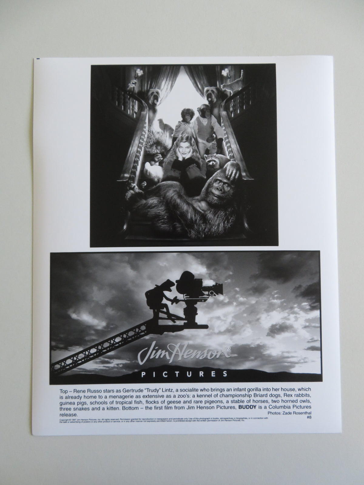 Buddy Movie Still Photo Lot Of 7 Robbie Coltrane Alan Cumming Rene Russo 1997