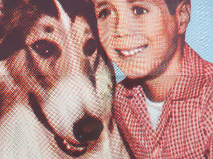 Lassie's Great Adventure Folded US One Sheet Poster June Lockhart 1963