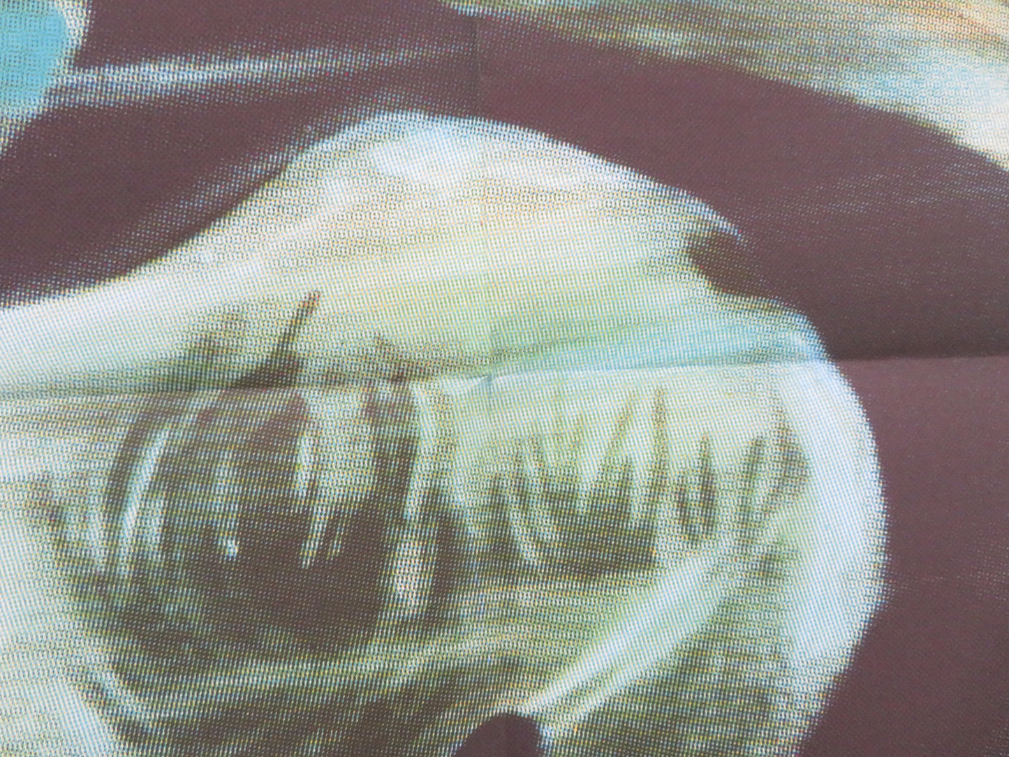 Tiko and the Shark Folded US One Sheet Poster Al Kauwe Among 1963