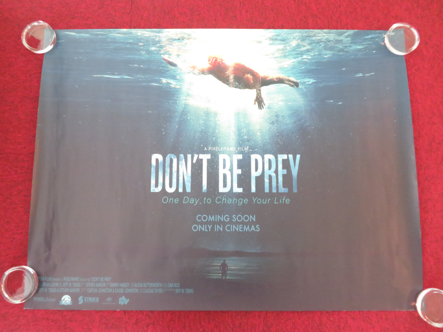 Don't Be Prey UK Quad Rolled Poster Mark Sowerby Tim Denyer 2026