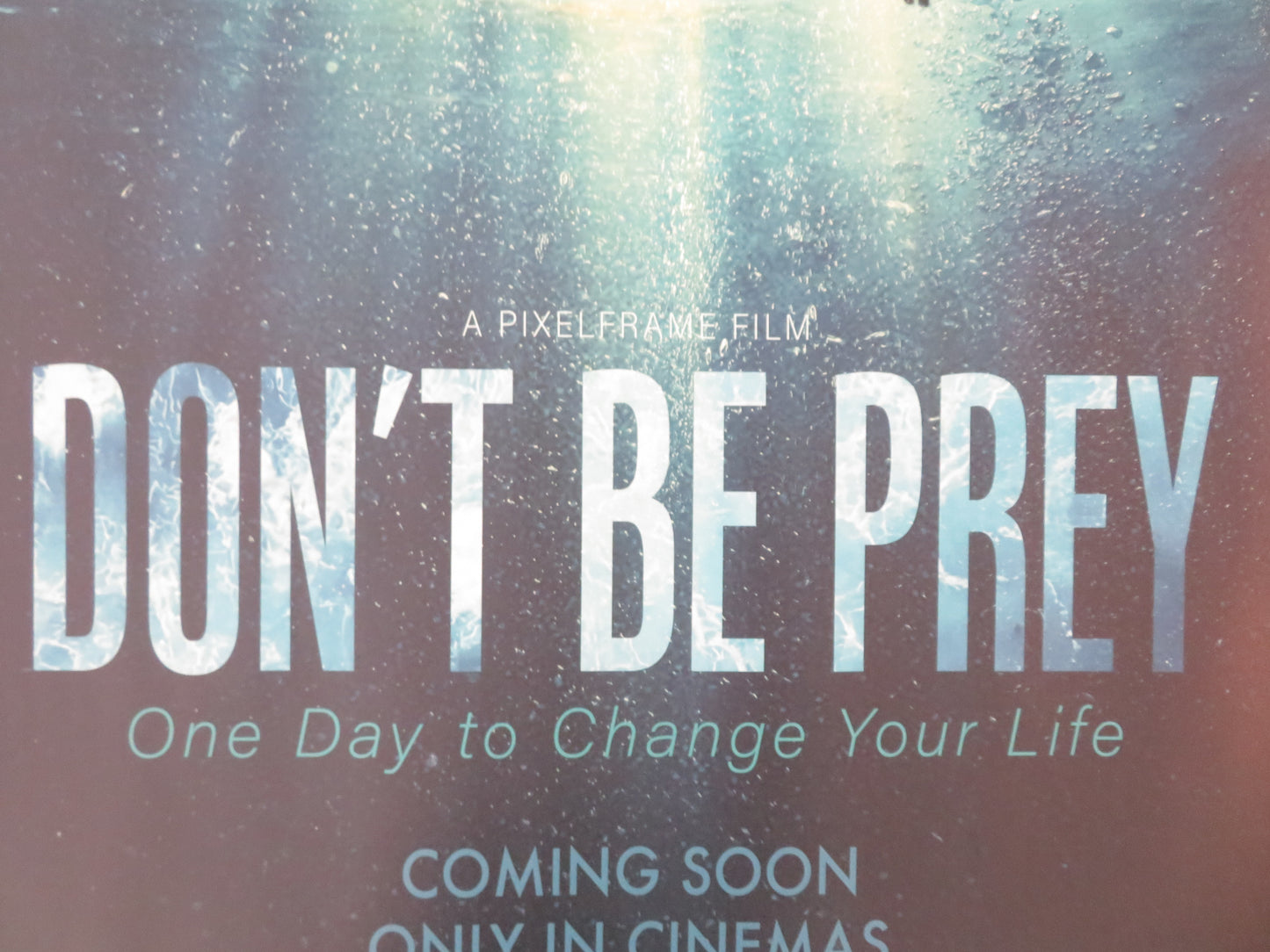 Don't Be Prey UK Quad Rolled Poster Mark Sowerby Tim Denyer 2026