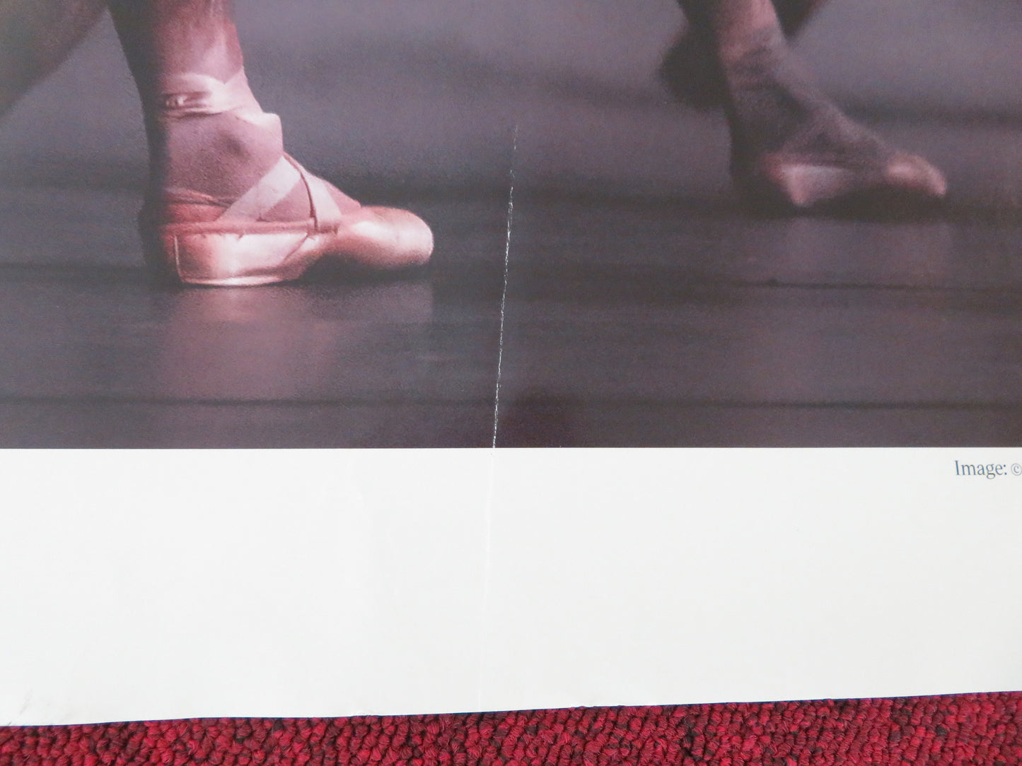 Royal Ballet and Opera: Giselle UK Quad Rolled Poster Akane Takada 2026