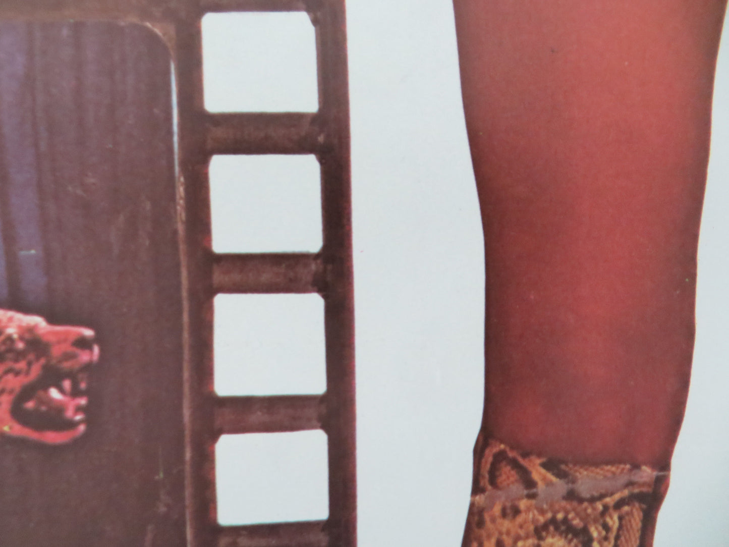 9 Ages of Nakedness Thai Rolled Poster Suzan Long Patricia Kluge 1970s