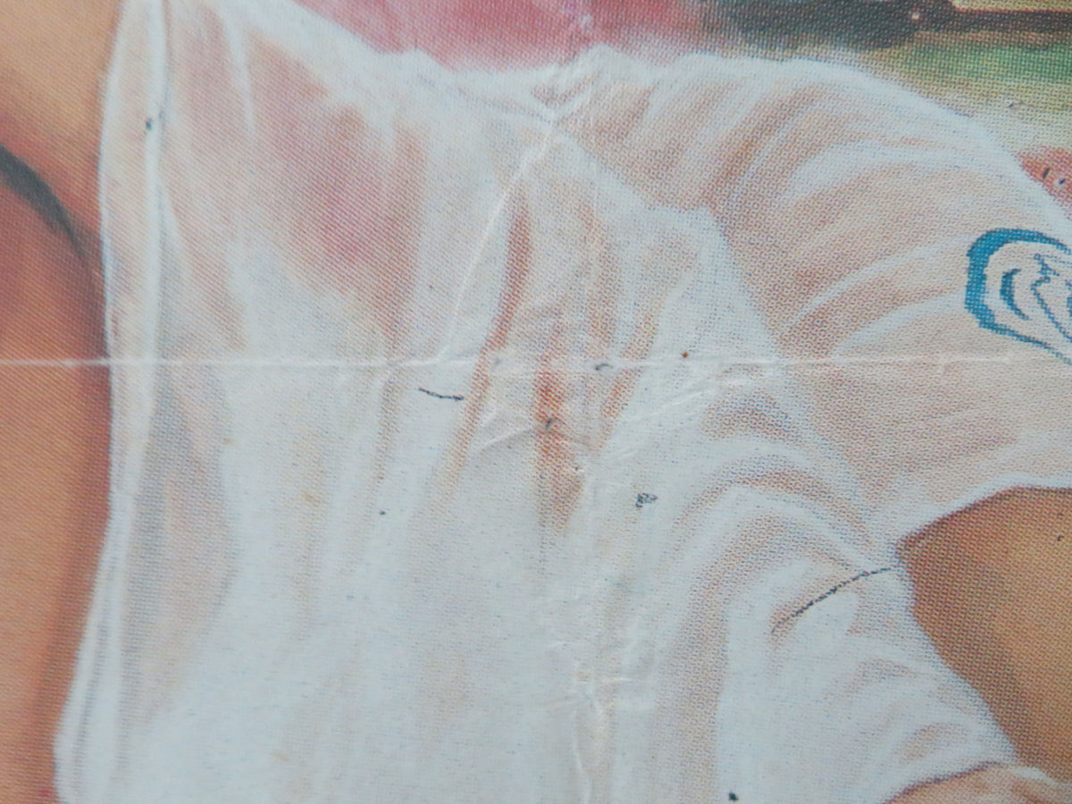 Thai Rolled Poster Brigitte Lin