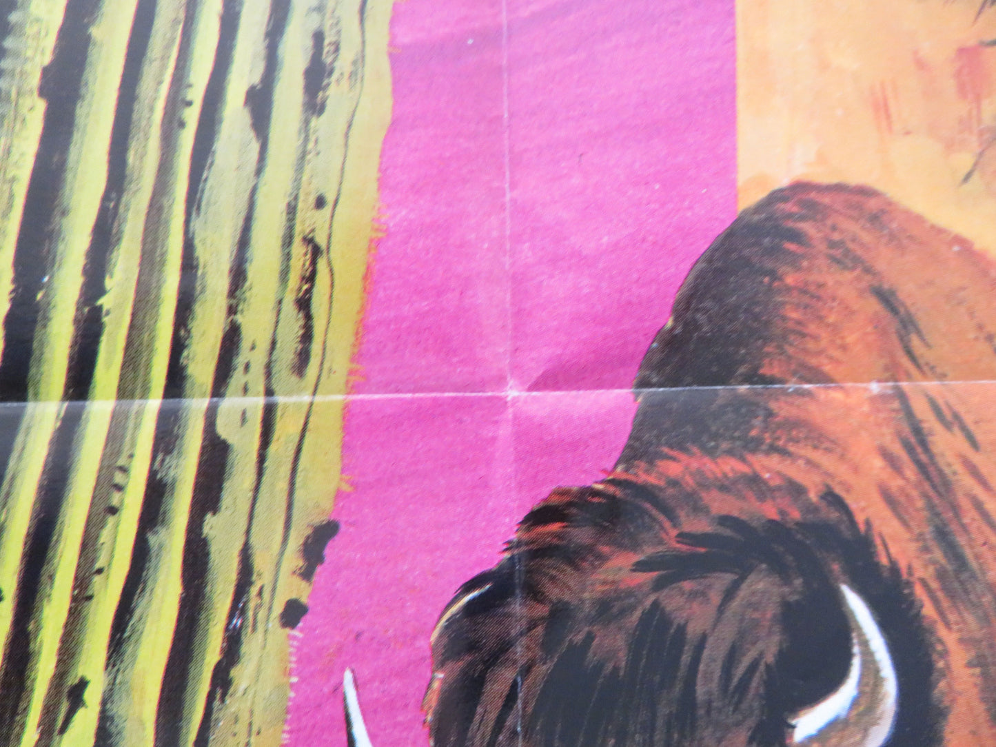 The Vanishing Prairie Folded US One Sheet Poster Disney Winston Hibler R1971