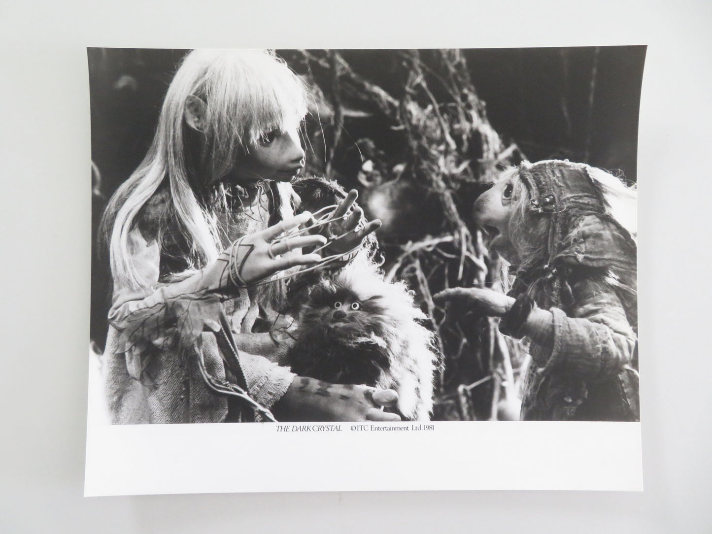 The Dark Crystal - B Movie Still Photo Lot Of 6 Jim Henson Frank Oz 1982