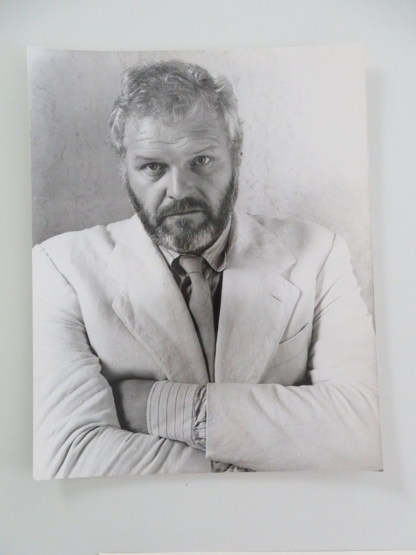 The Belly of an Architect - A Movie Still Photo Lot Of 8 Brian Dennehy 1987