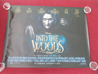 Into the Woods UK Quad Rolled Poster Disney Anna Kendrick Meryl Streep 2014